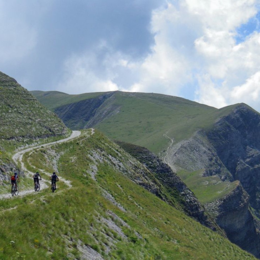 CRESTE DI MONTE BOVE 27 07 2013 039