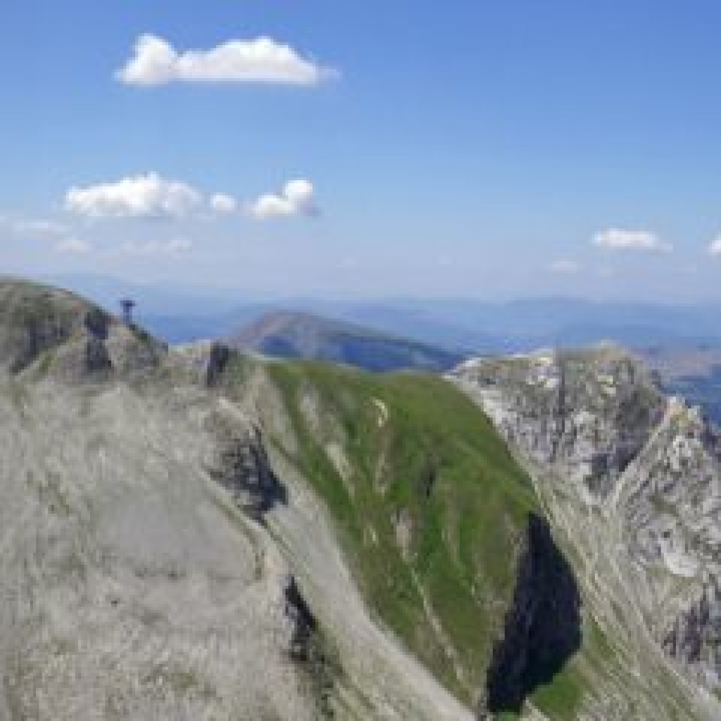 CRESTE DI MONTE BOVE 27 07 2013 084