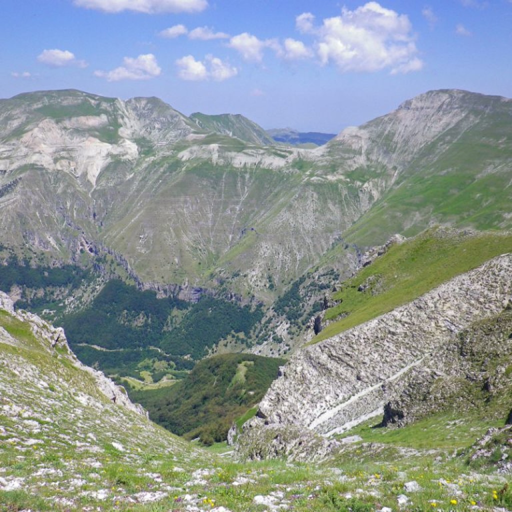 CRESTE DI MONTE BOVE 27 07 2013 091