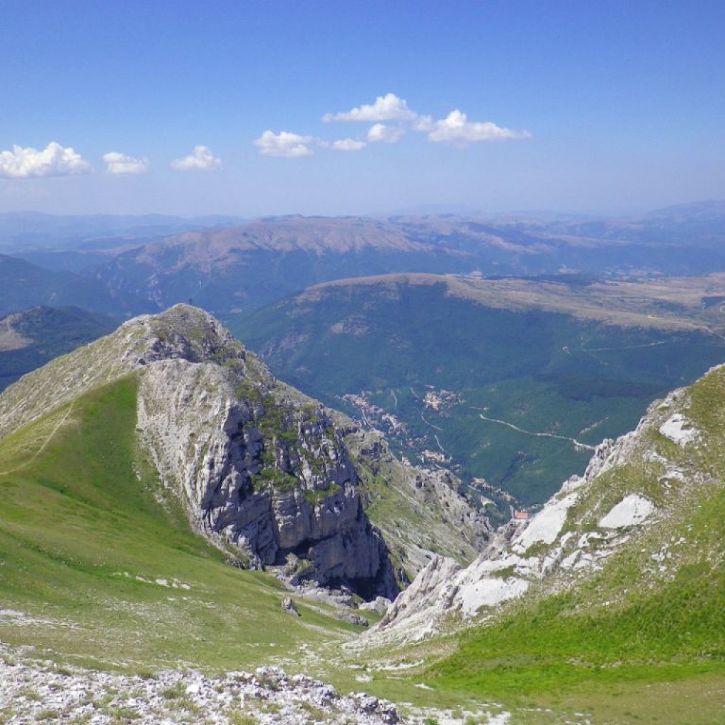 CRESTE DI MONTE BOVE 27 07 2013 103