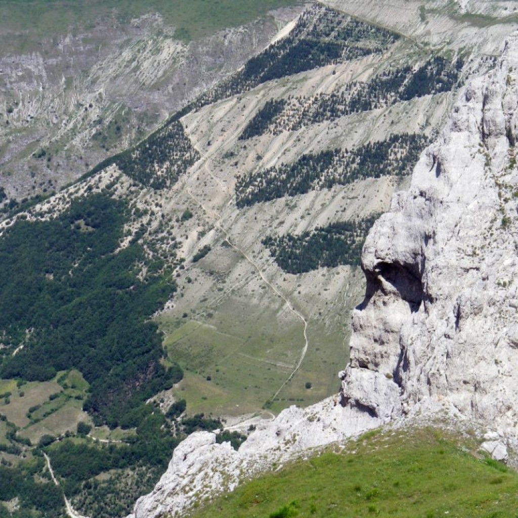 CRESTE DI MONTE BOVE 27 07 2013 111