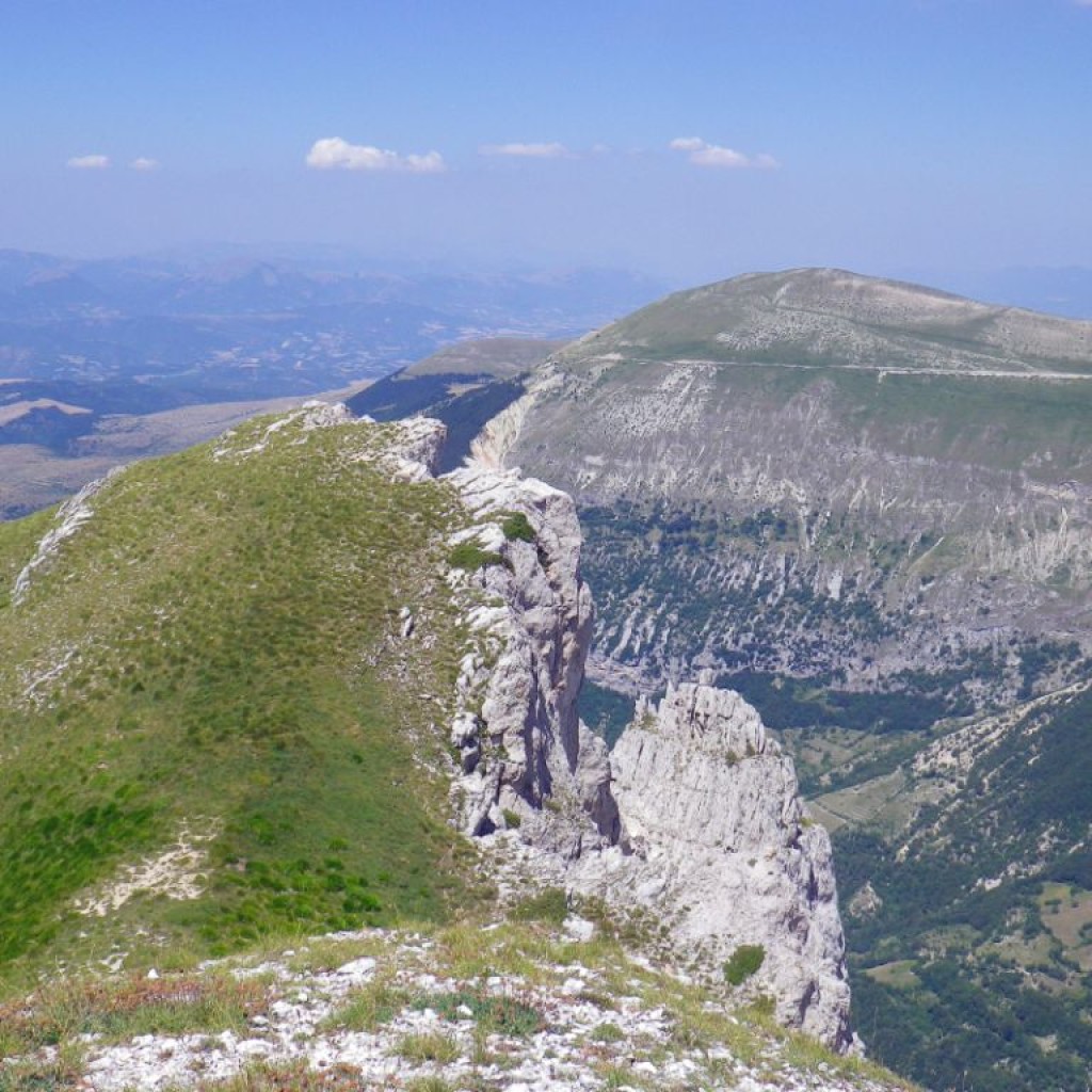 CRESTE DI MONTE BOVE 27 07 2013 114