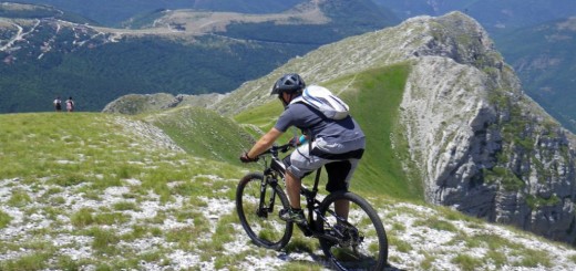 CRESTE DI MONTE BOVE 27 07 2013 117