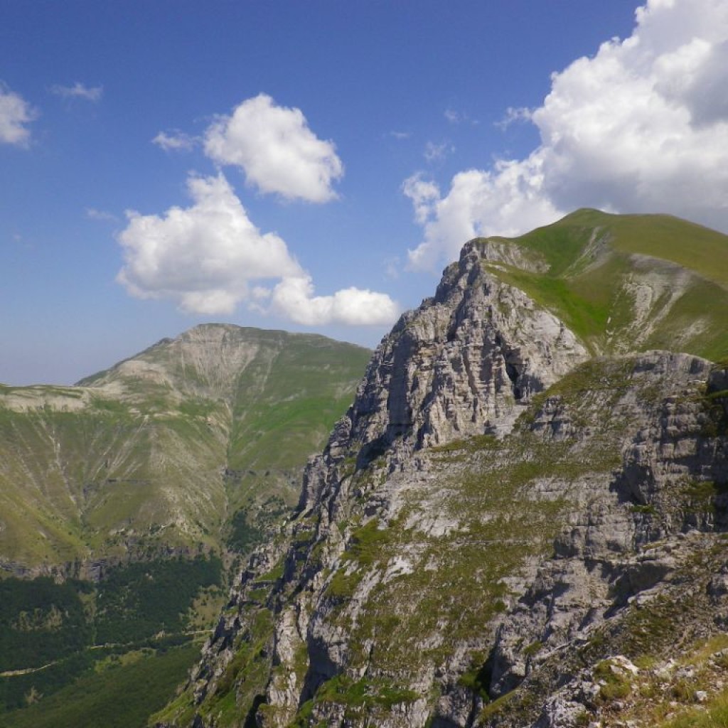 CRESTE DI MONTE BOVE 27 07 2013 132