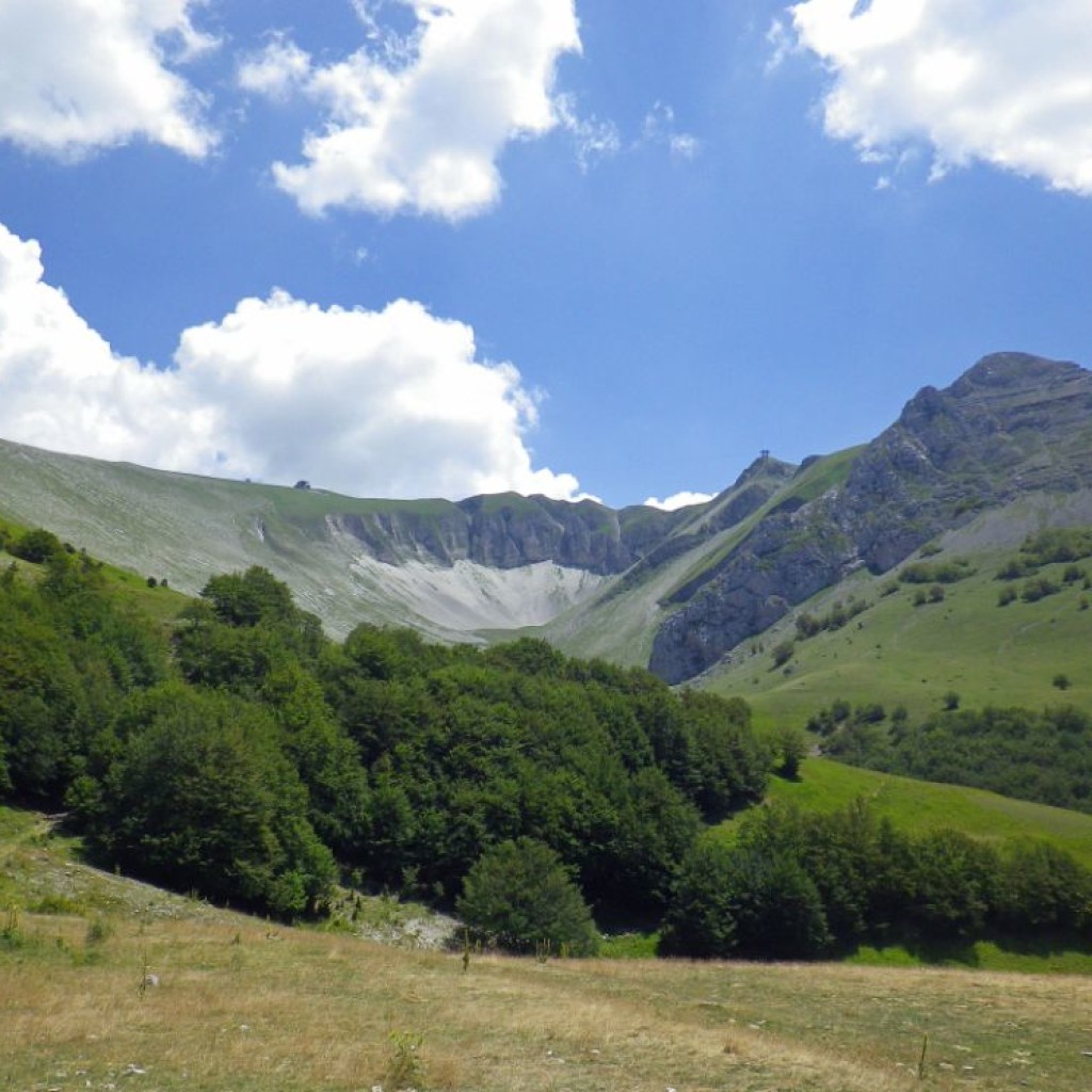 CRESTE DI MONTE BOVE 27 07 2013 145