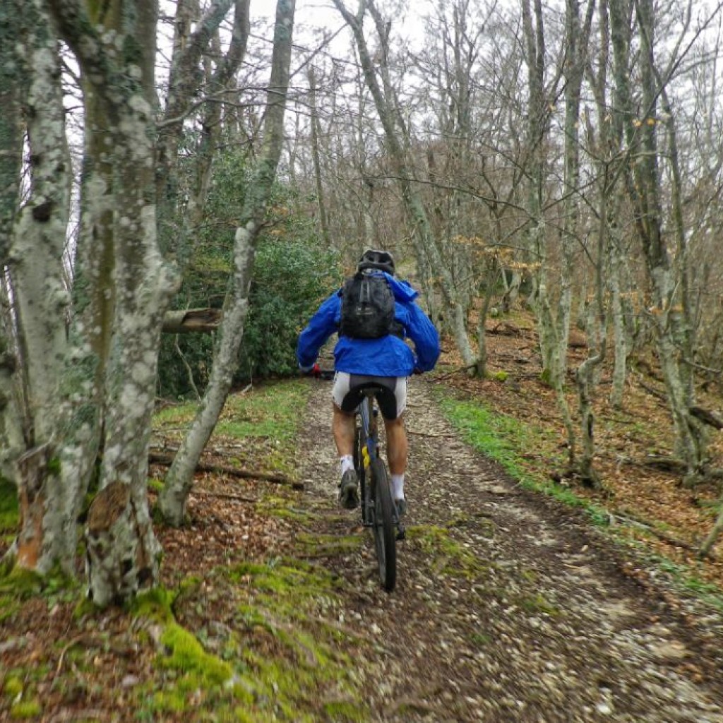 in marcia verso forca di bara