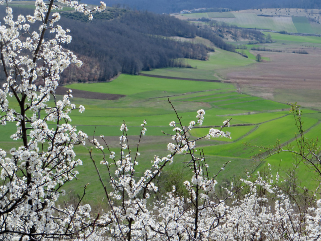 altipiano di colfiorito