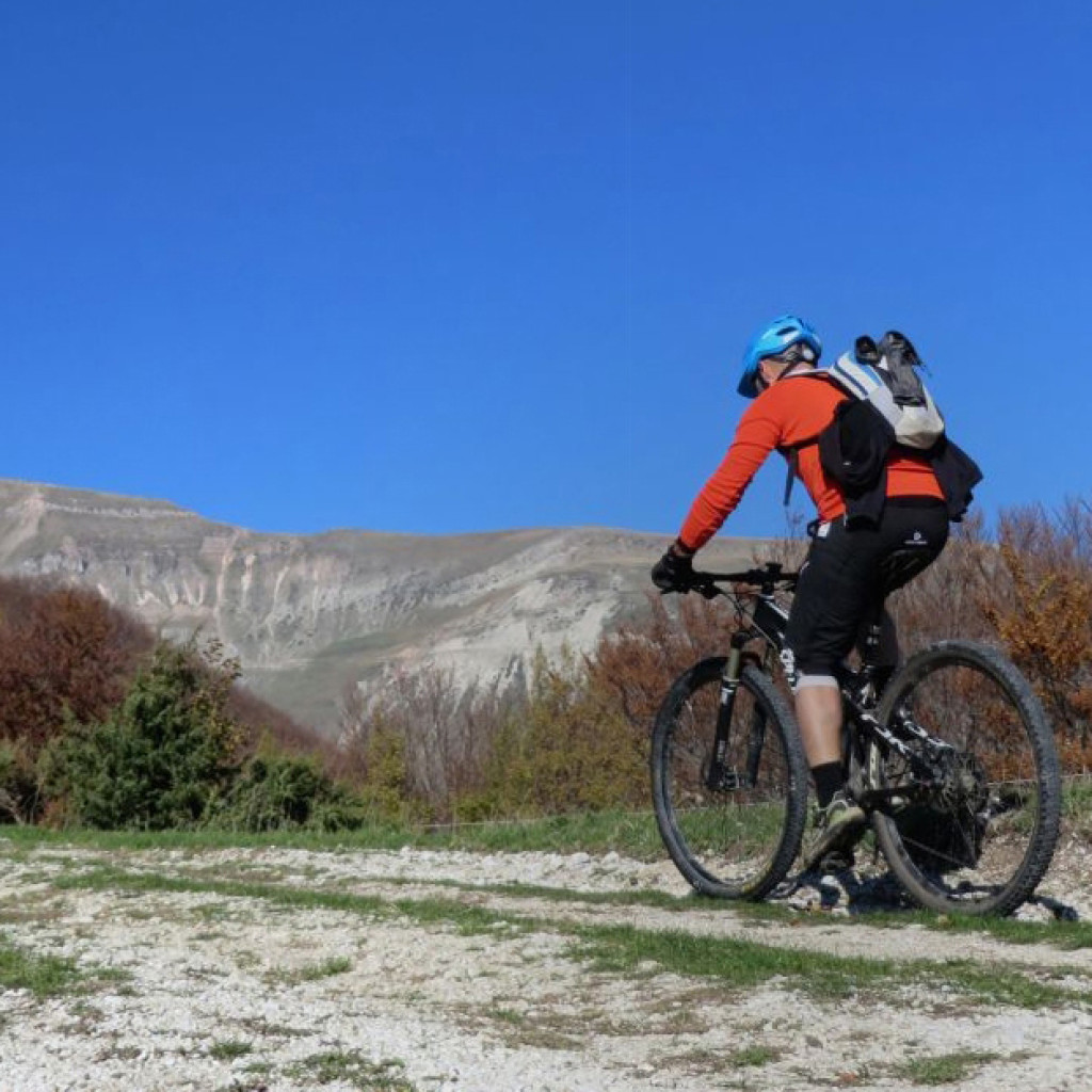 banditello-01-11-2015-072
