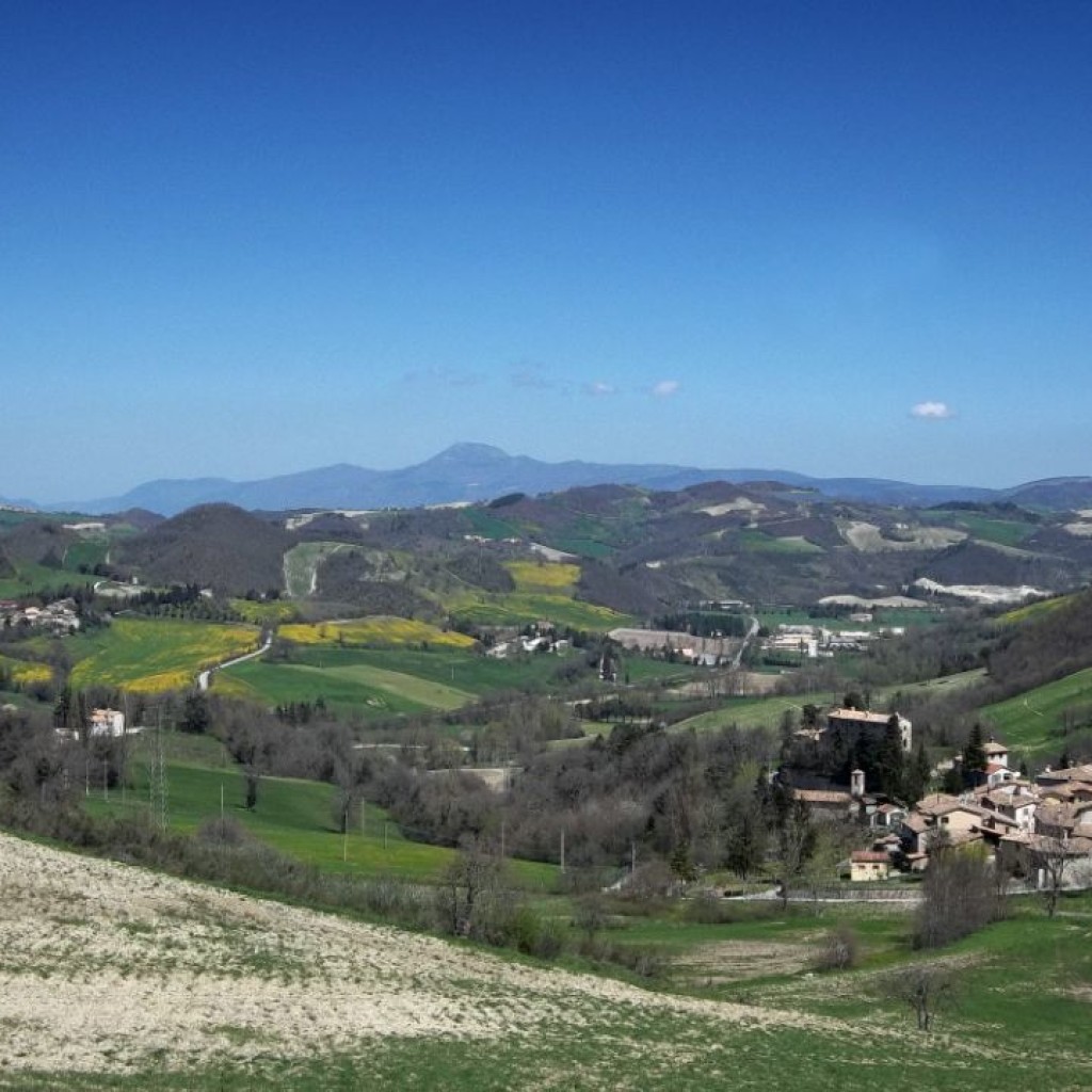 MADONNA AGUZZA 14 04 2013 225
