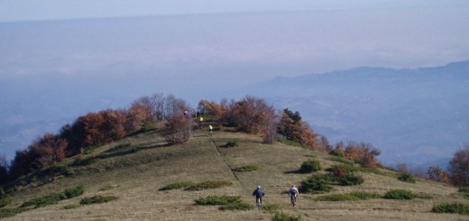 MT CODARDO 20 11 2011 064