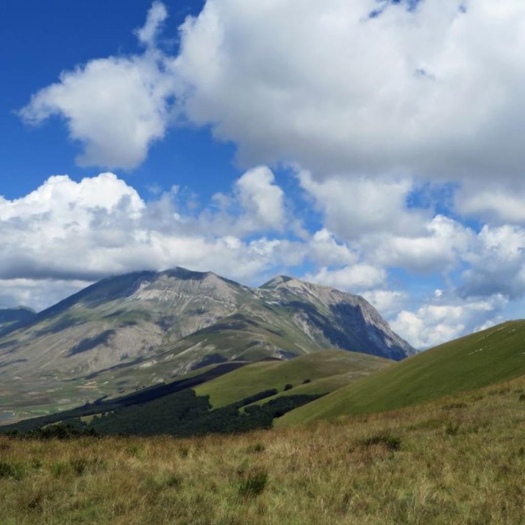 CASTELLUCCIO ESTATE 201422 07 2014 08 12 2015 093