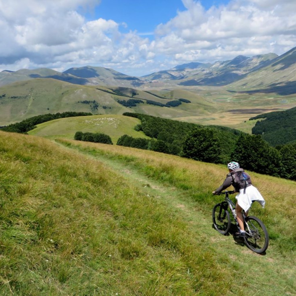 CASTELLUCCIO ESTATE 201422 07 2014 08 12 2015 111