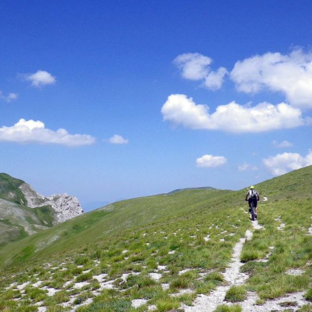 CRESTE DI MONTE BOVE 27 07 2013 085