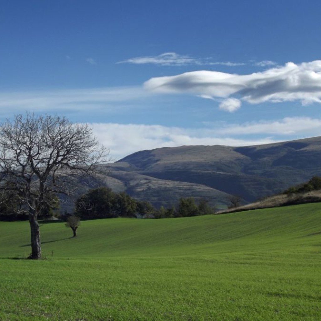 PIEVEBOVIGLIANA 10 11 2013 204