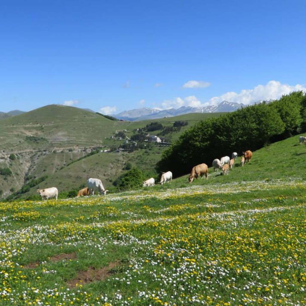 in marcia verso i pantani di accumoli