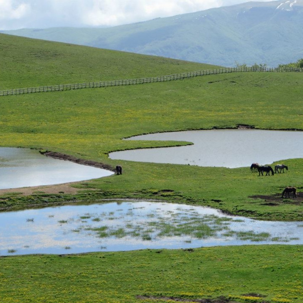 pantani di accumoli