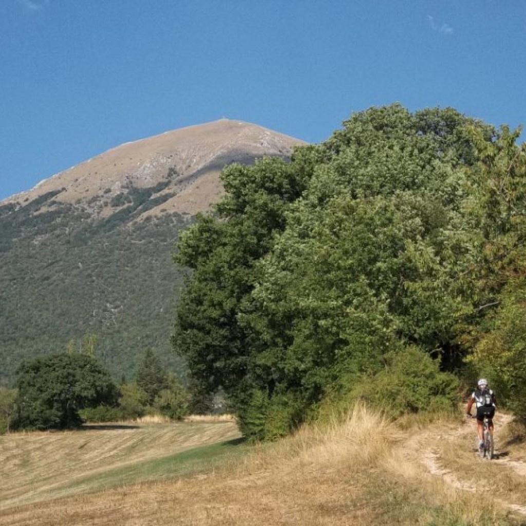 salita a forca d'ancarano