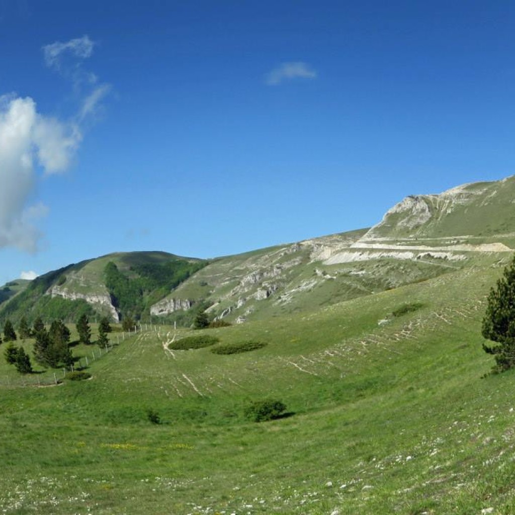 forca di presta