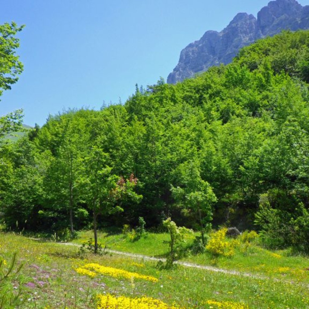 val di panico