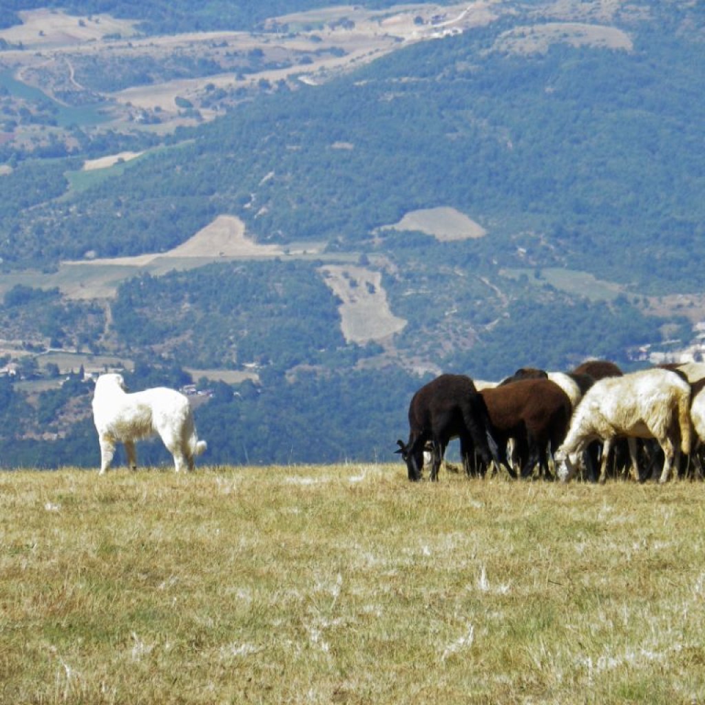 salita al monte delle rose