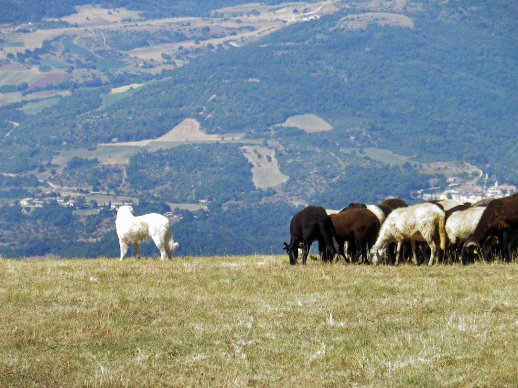 salita al monte delle rose