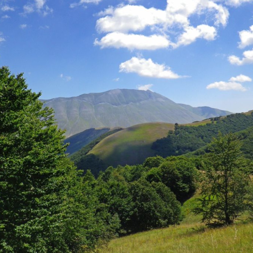 panorama sul vettore