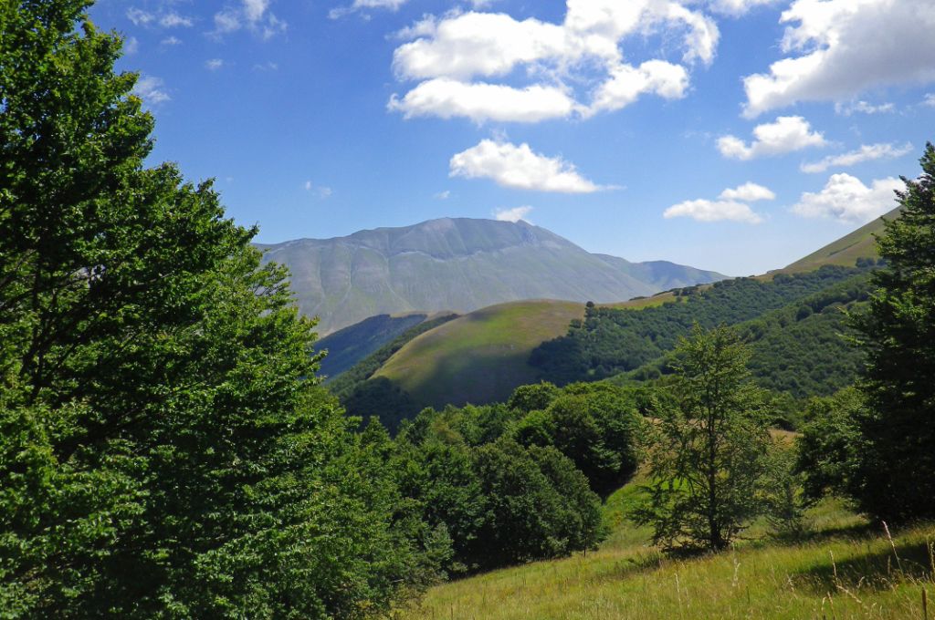 panorama sul vettore