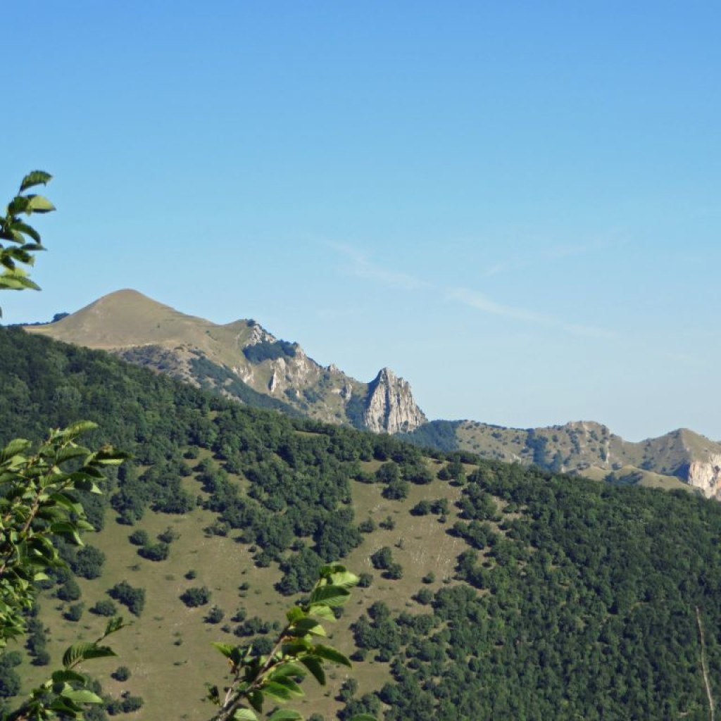 ANELLO 4 VALLI  07 08 2014 073