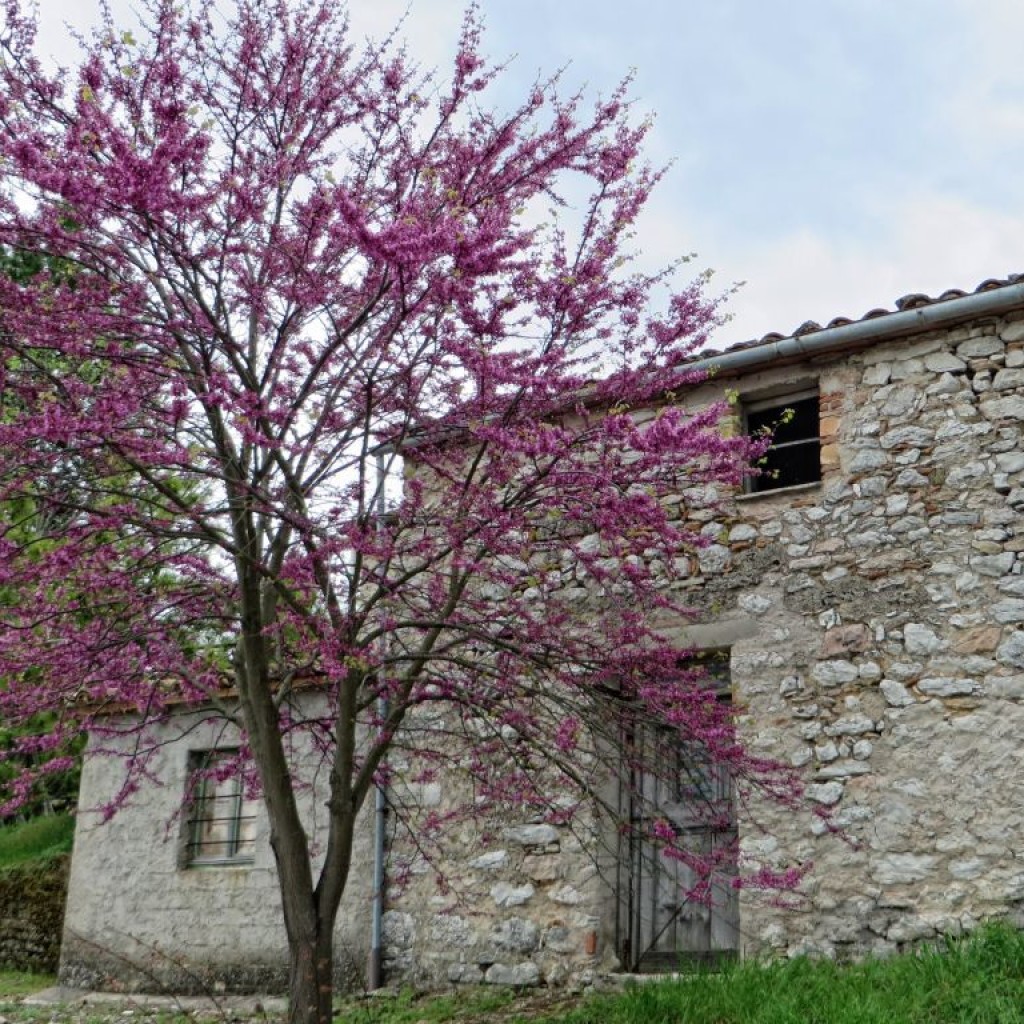 monastero