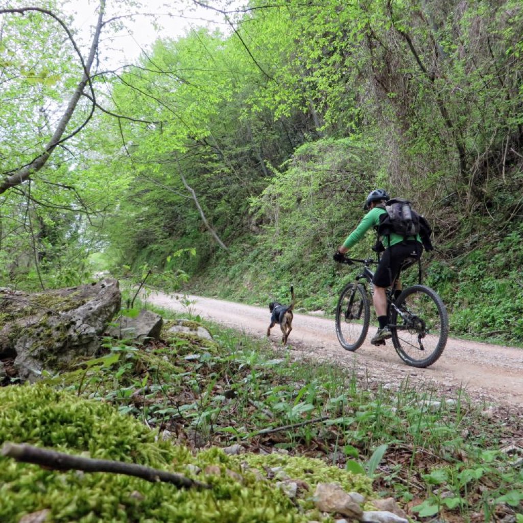 salita verso i piani di ragnolo