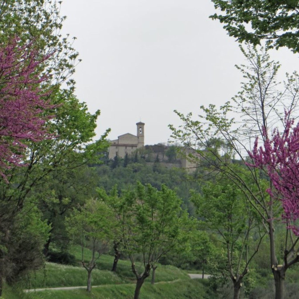 montaldo