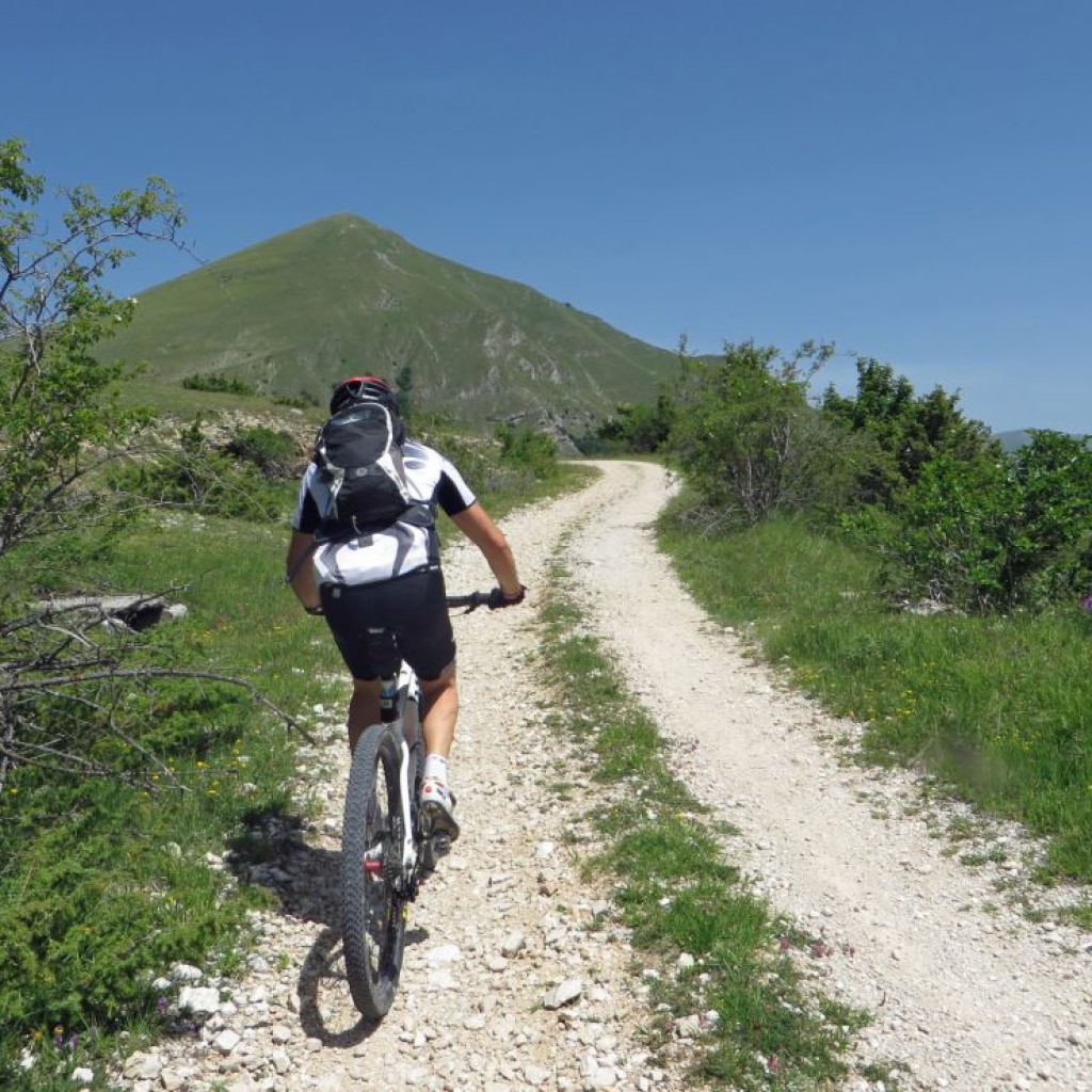 monte cardosa