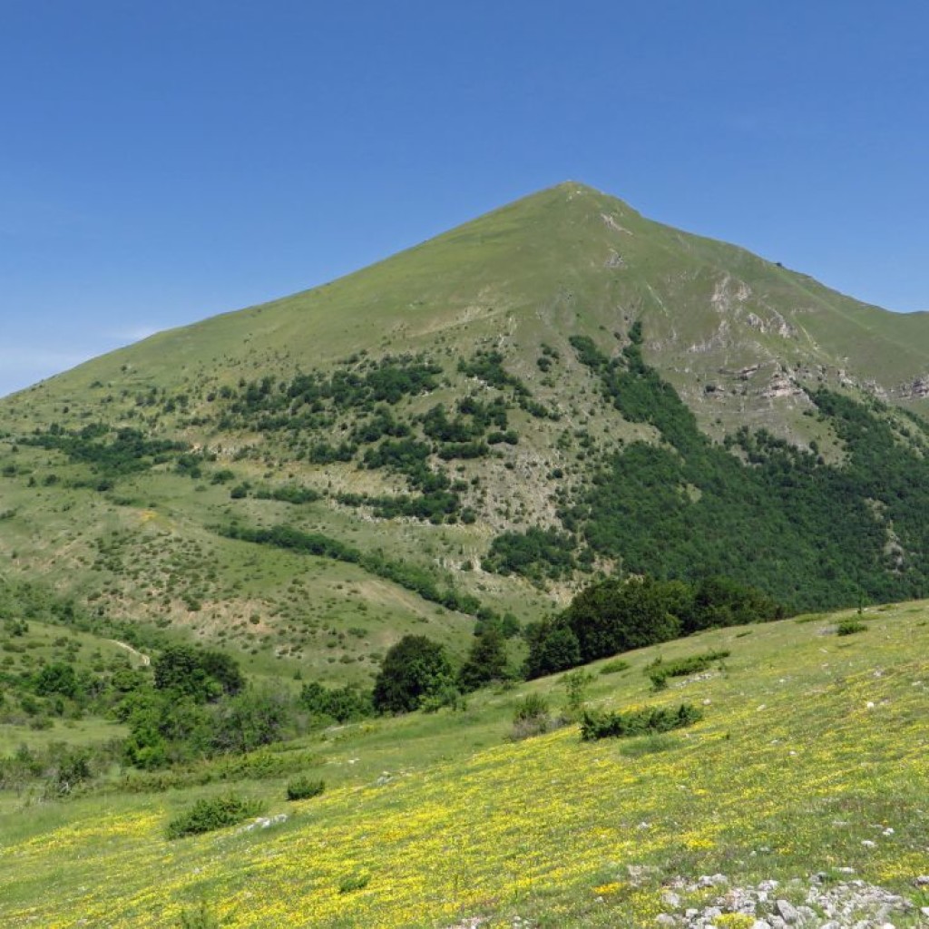 monte cardosa