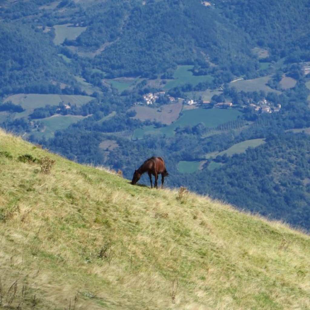 prati di ragnolo