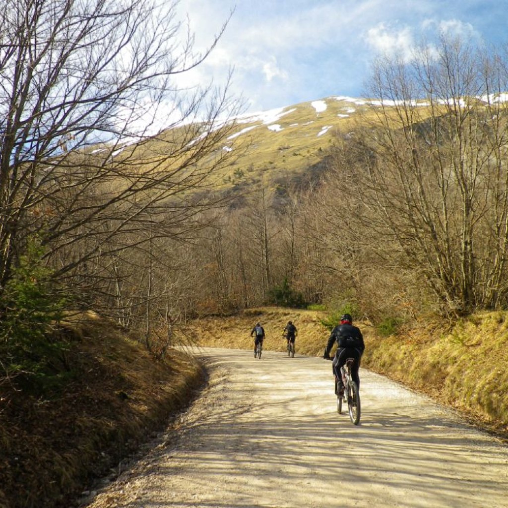 salita verso campolungo