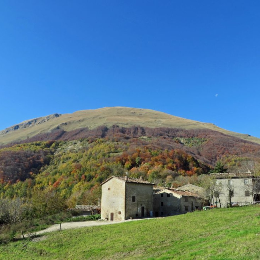 altino