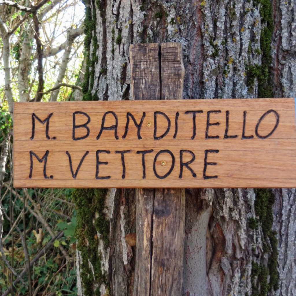 BANDITELLO 01 11 2015 009