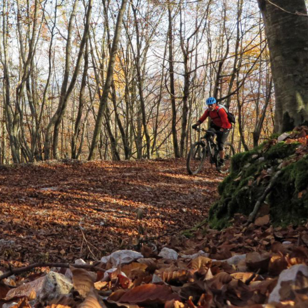 salita verso i prati di altino