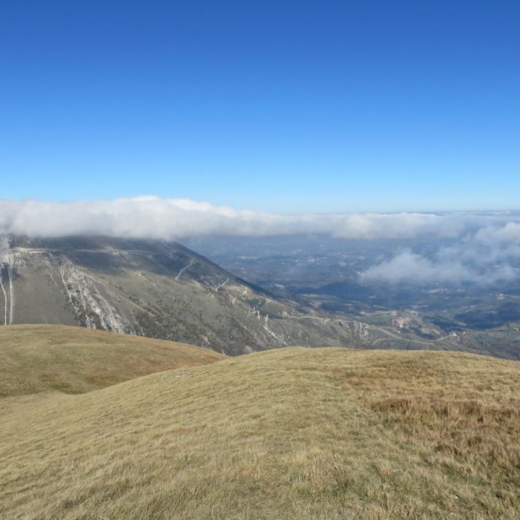 cima della prata