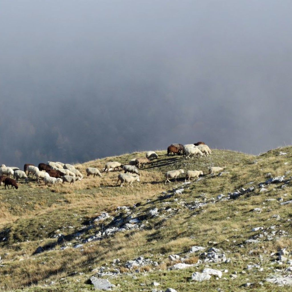 sentiero 132