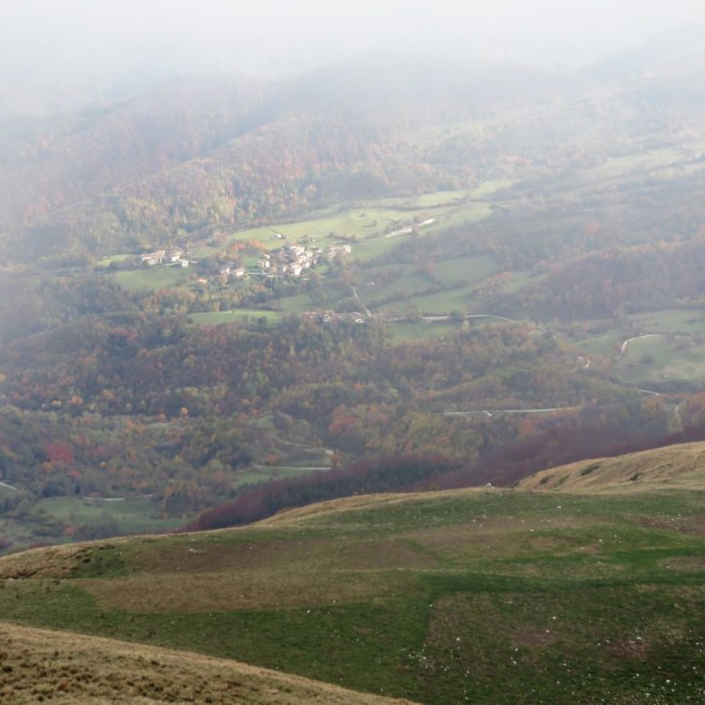 BANDITELLO 01 11 2015 512