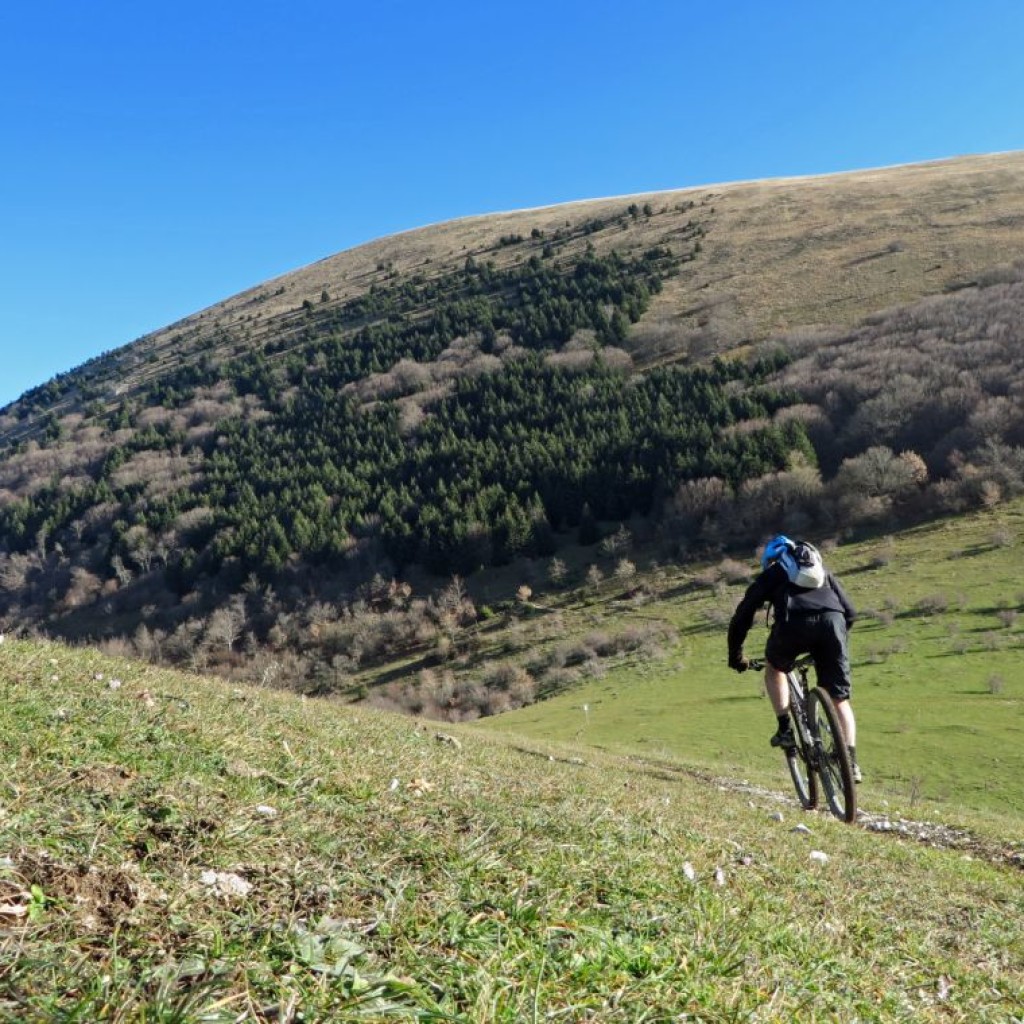 monte igno