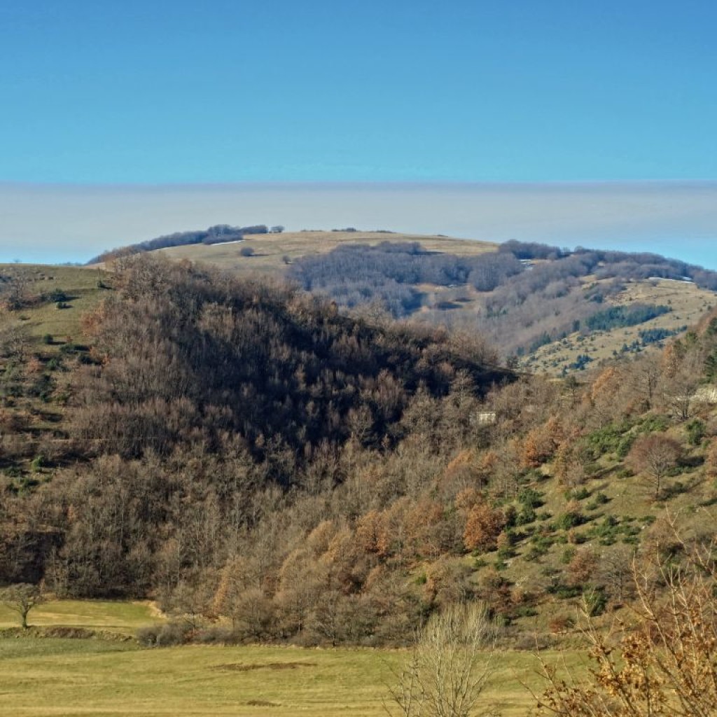 montelago