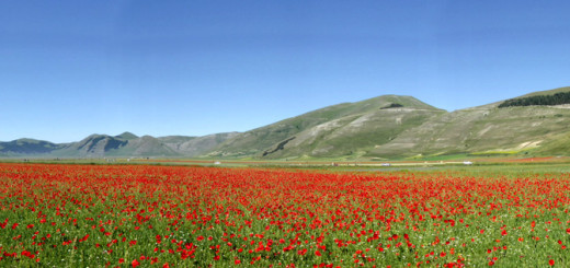 Pian Grande - Castelluccio di Norcia