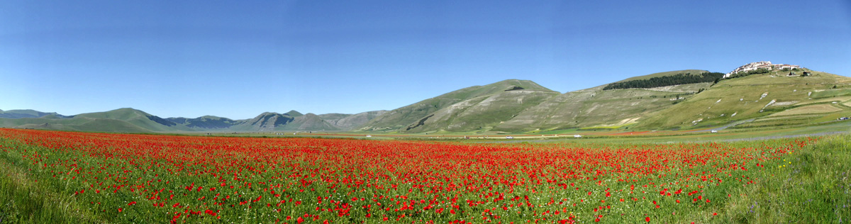 Pian Grande - Castelluccio di Norcia