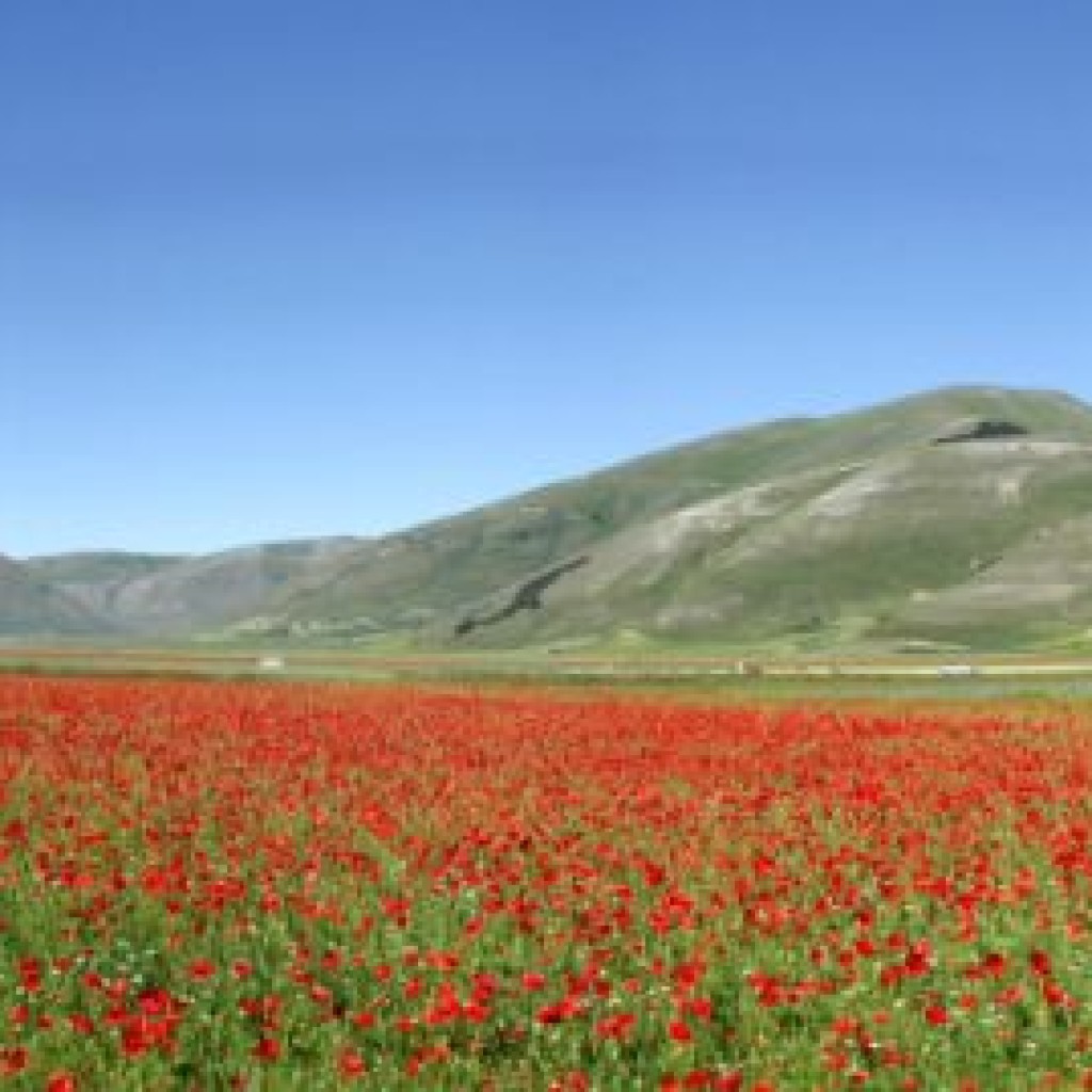 CASTELLUCCIO 23 06 2012 014