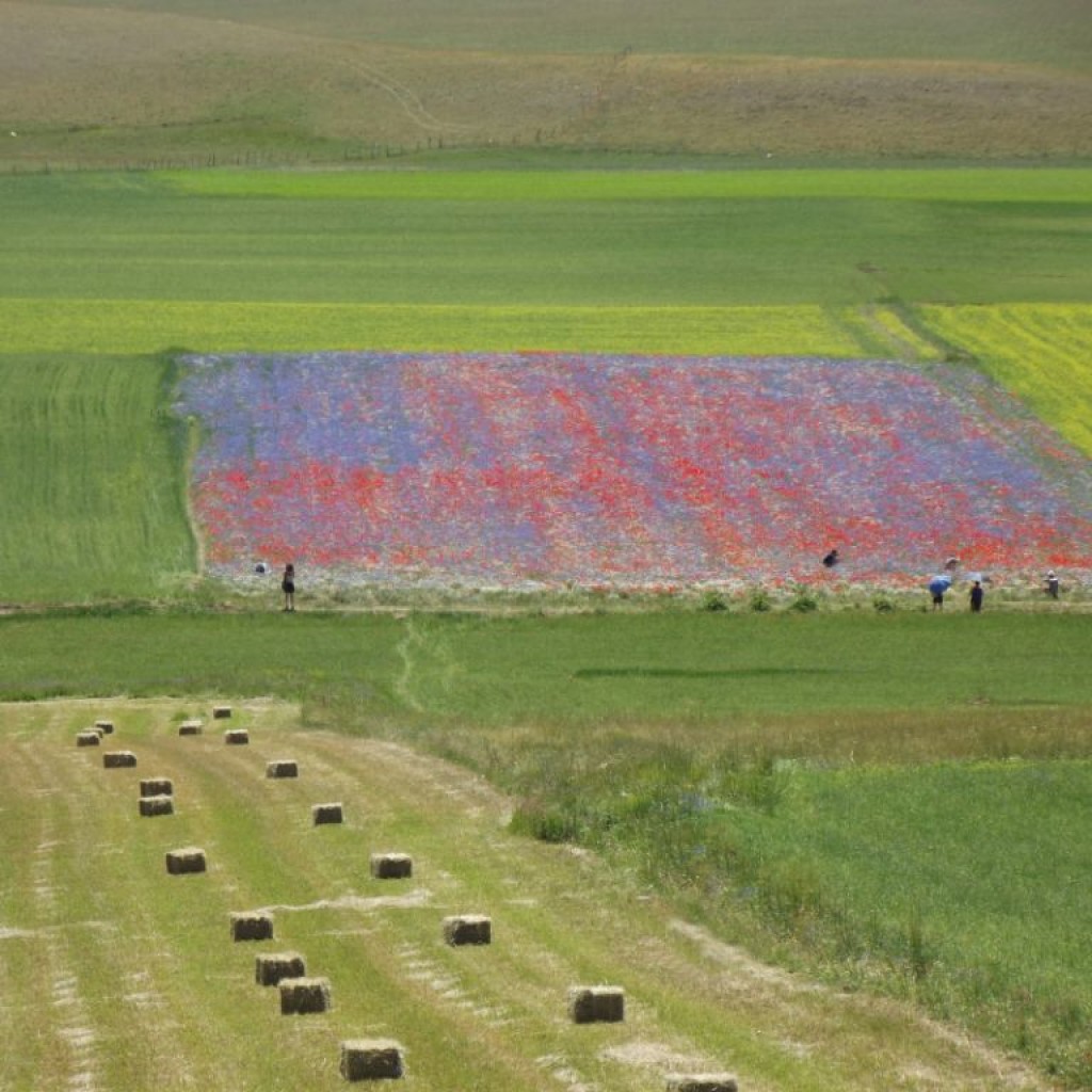 CASTELLUCCIO 23 06 2012 095