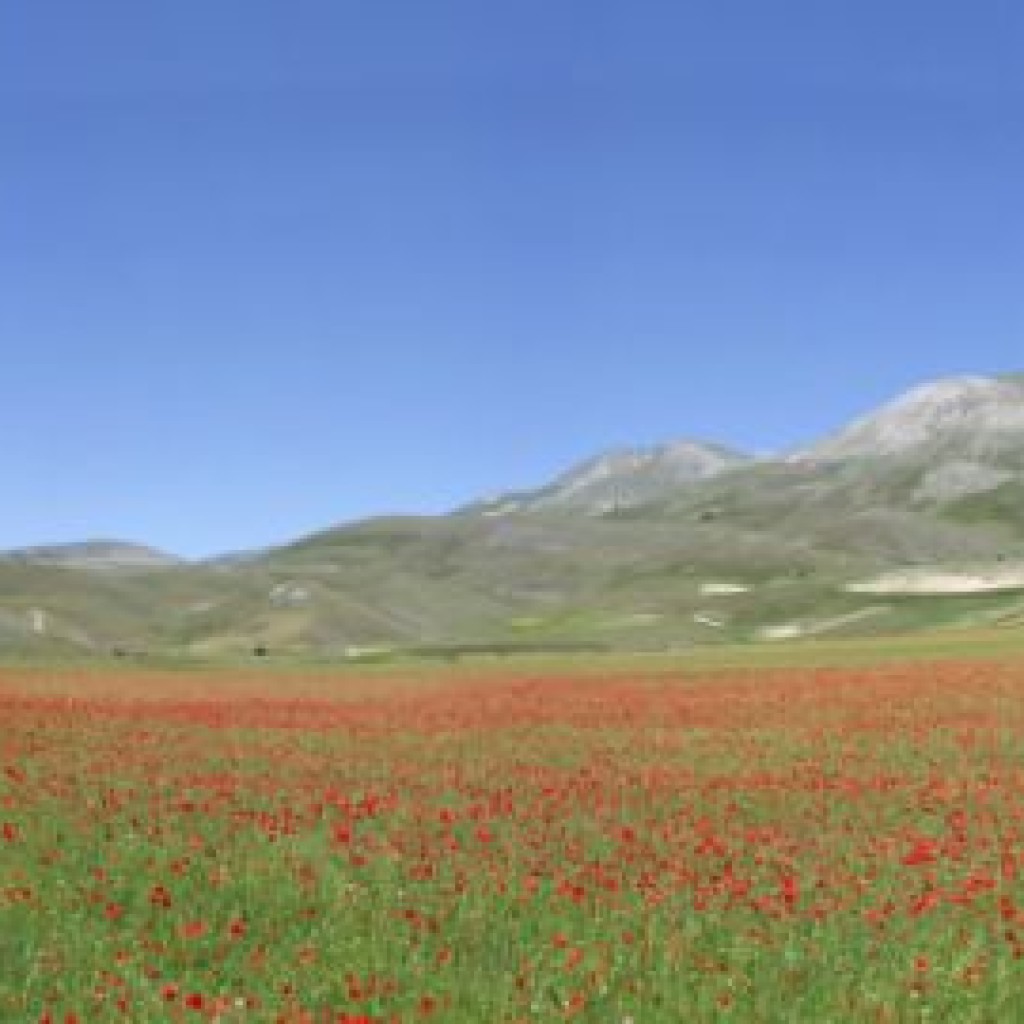 CASTELLUCCIO 23 06 2012 099