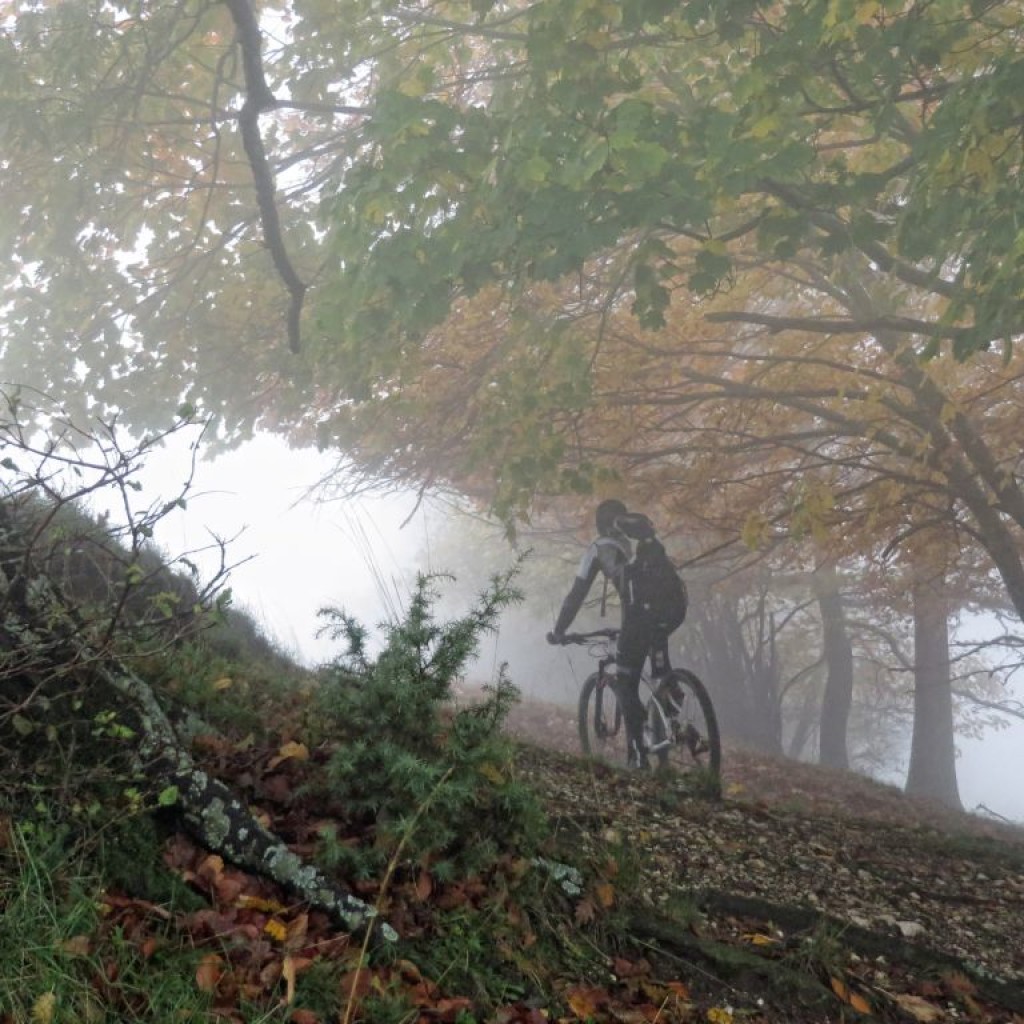 COLLE DI CARDINE 31 10 2015 049