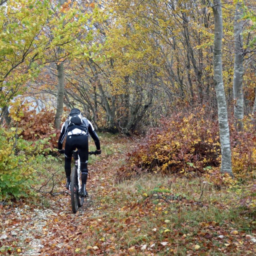 COLLE DI CARDINE 31 10 2015 073